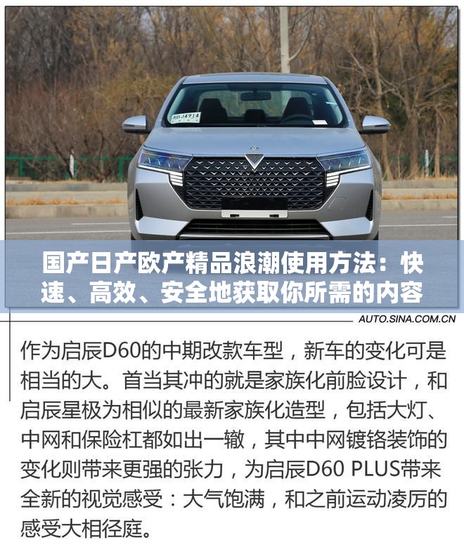 國(guó)產(chǎn)日產(chǎn)歐產(chǎn)精品浪潮使用方法：快速、高效、安全地獲取你所需的內(nèi)容