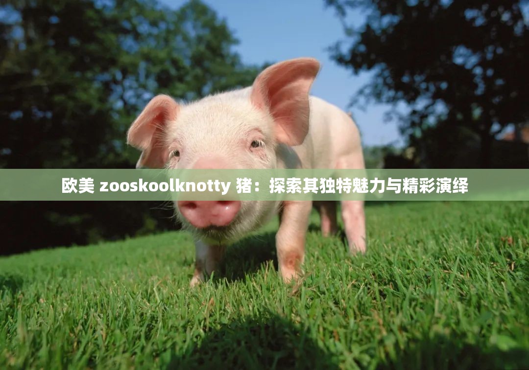 歐美 zooskoolknotty 豬：探索其獨(dú)特魅力與精彩演繹
