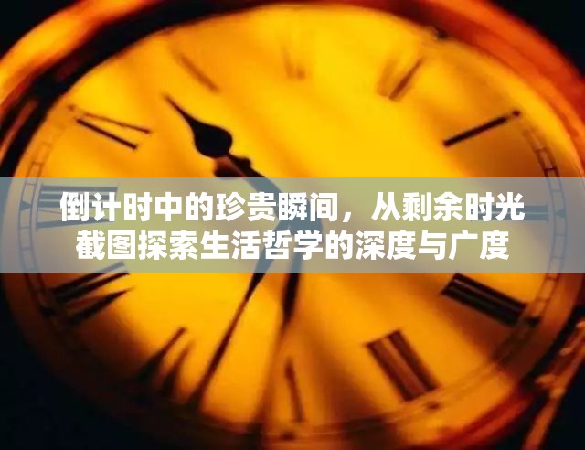 倒計時中的珍貴瞬間，從剩余時光截圖探索生活哲學(xué)的深度與廣度