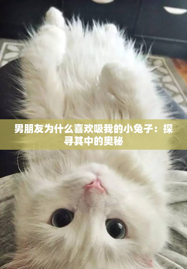 男朋友為什么喜歡吸我的小兔子：探尋其中的奧秘