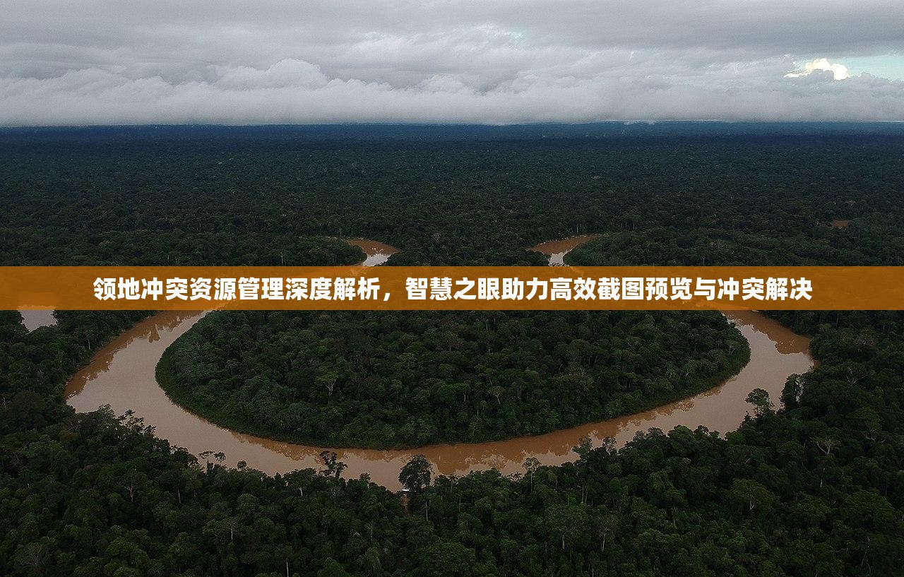 領(lǐng)地沖突資源管理深度解析，智慧之眼助力高效截圖預(yù)覽與沖突解決