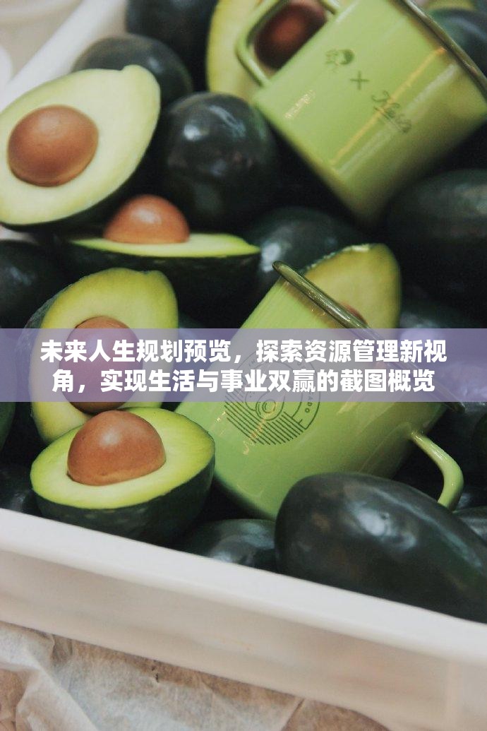 未來人生規(guī)劃預(yù)覽，探索資源管理新視角，實(shí)現(xiàn)生活與事業(yè)雙贏的截圖概覽