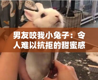 男友咬我小兔子：令人難以抗拒的甜蜜感覺