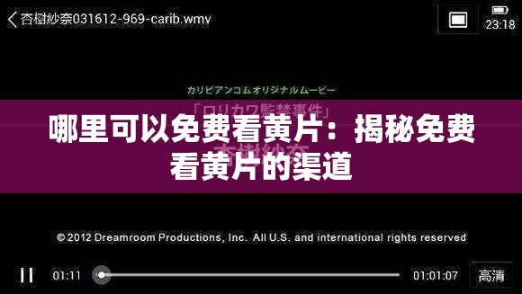 哪里可以免費(fèi)看黃片：揭秘免費(fèi)看黃片的渠道