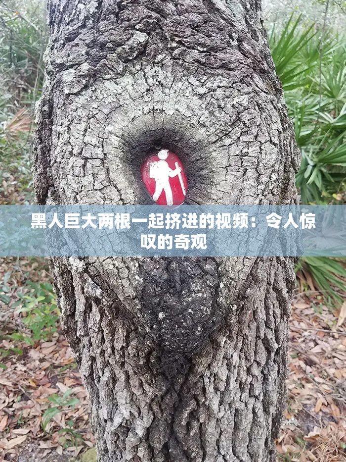 黑人巨大兩根一起擠進(jìn)的視頻：令人驚嘆的奇觀