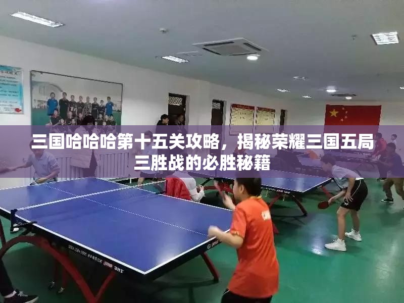 三國(guó)哈哈哈第十五關(guān)攻略，揭秘榮耀三國(guó)五局三勝戰(zhàn)的必勝秘籍