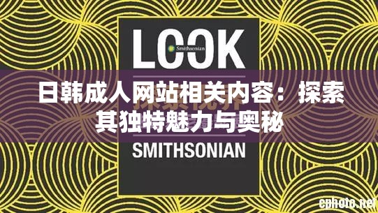 日韓成人網(wǎng)站相關(guān)內(nèi)容：探索其獨特魅力與奧秘