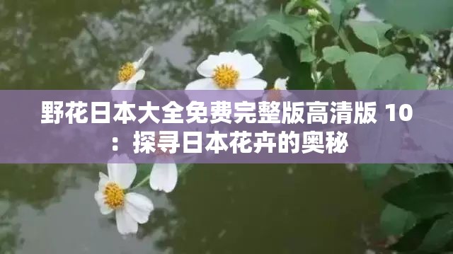 野花日本大全免費完整版高清版 10：探尋日本花卉的奧秘