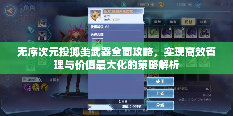 無序次元投擲類武器全面攻略，實現(xiàn)高效管理與價值最大化的策略解析