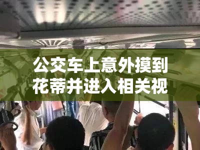 公交車上意外摸到花蒂并進(jìn)入相關(guān)視頻引發(fā)關(guān)注