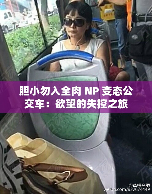 膽小勿入全肉 NP 變態(tài)公交車：欲望的失控之旅