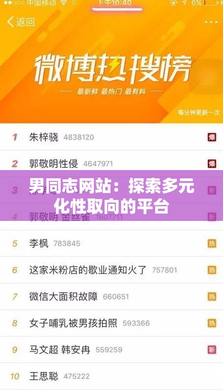 男同志網(wǎng)站：探索多元化性取向的平臺