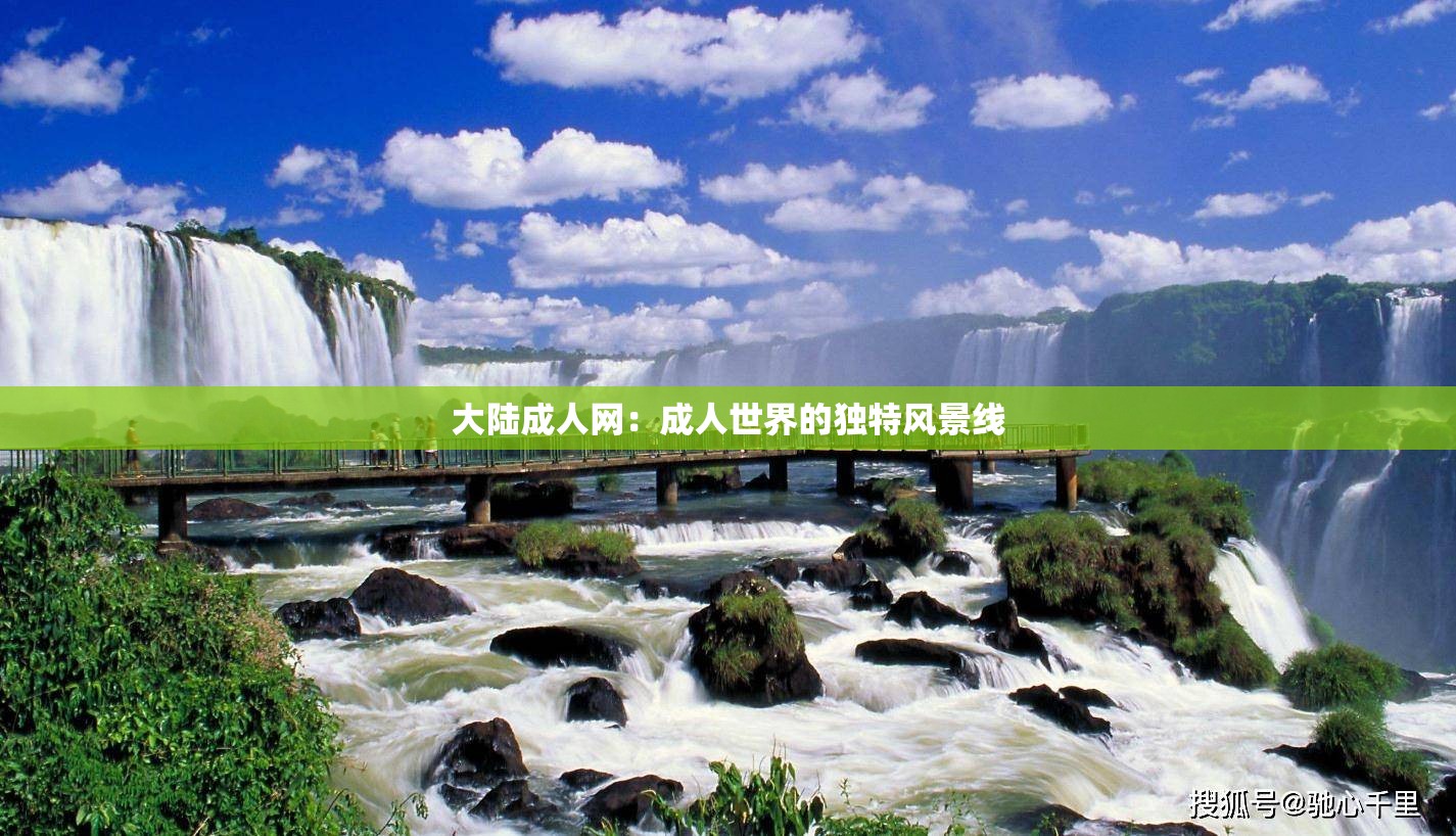 大陸成人網(wǎng)：成人世界的獨(dú)特風(fēng)景線