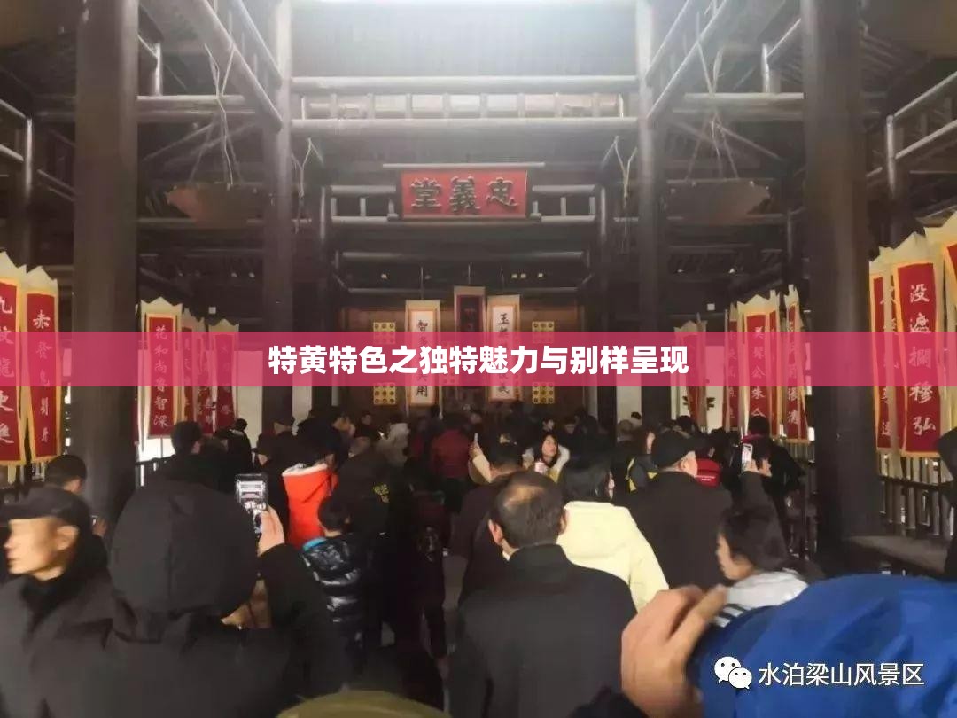 特黃特色之獨特魅力與別樣呈現(xiàn)