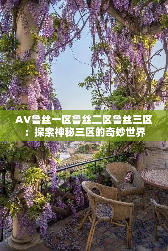 A∨魯絲一區(qū)魯絲二區(qū)魯絲三區(qū)：探索神秘三區(qū)的奇妙世界