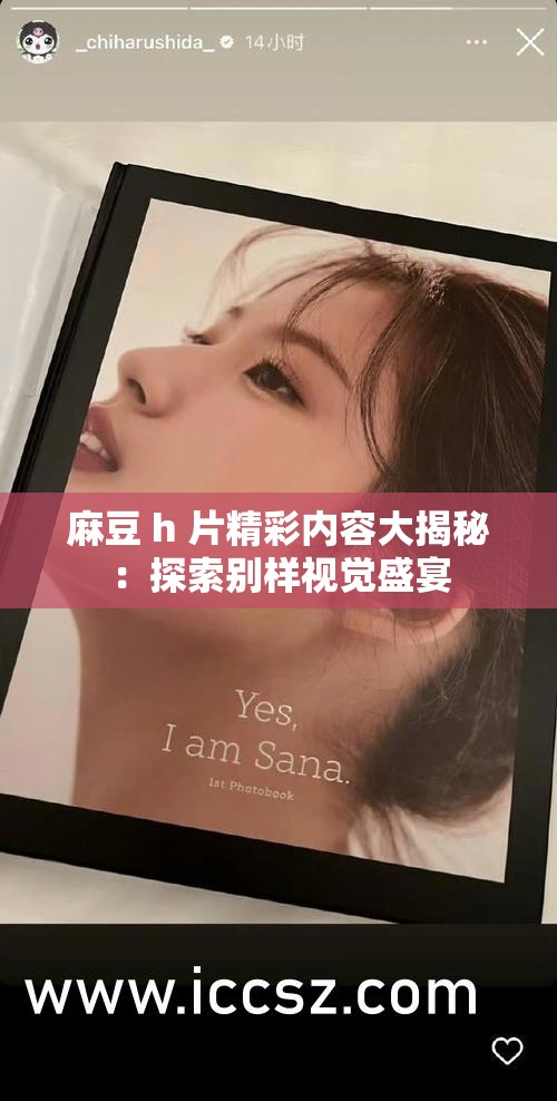 麻豆 h 片精彩內(nèi)容大揭秘：探索別樣視覺盛宴