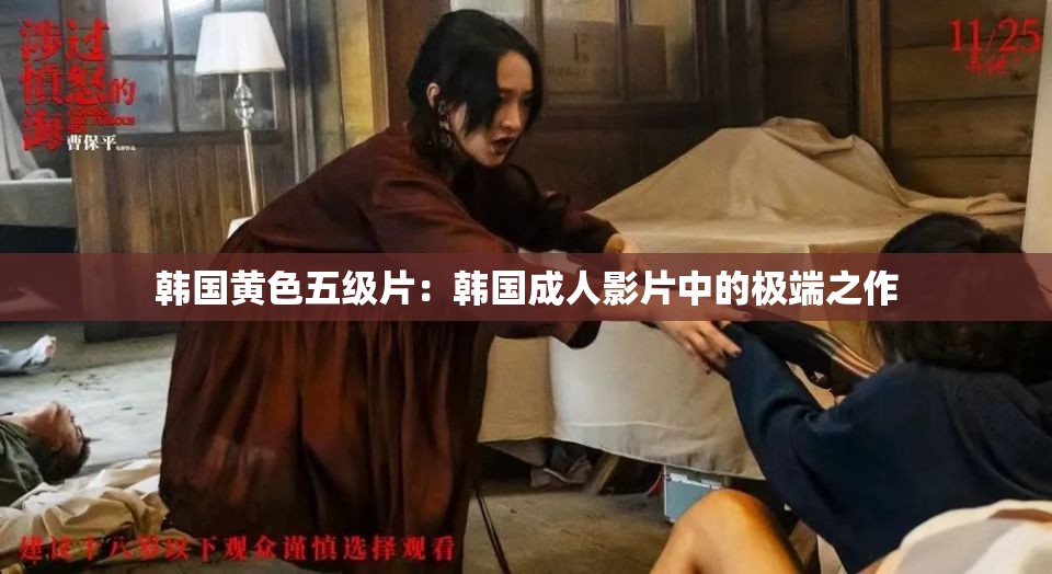 韓國(guó)黃色五級(jí)片：韓國(guó)成人影片中的極端之作