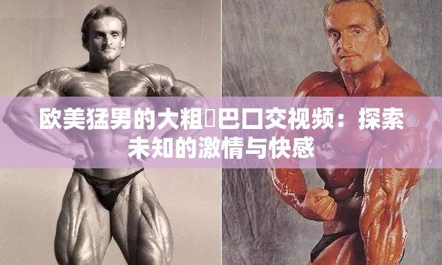 歐美猛男的大粗鳮巴囗交視頻：探索未知的激情與快感