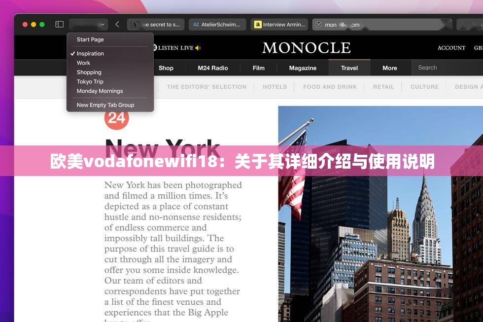 歐美vodafonewifi18：關(guān)于其詳細(xì)介紹與使用說(shuō)明