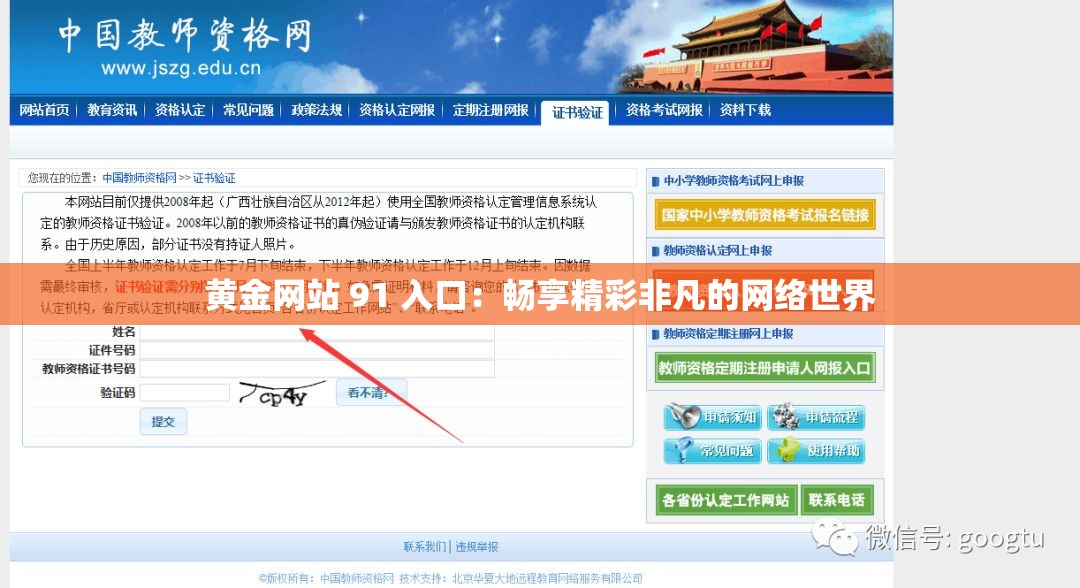 黃金網(wǎng)站 91 入口：暢享精彩非凡的網(wǎng)絡(luò)世界