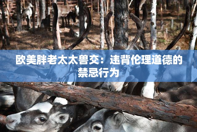 歐美胖老太太獸交：違背倫理道德的禁忌行為