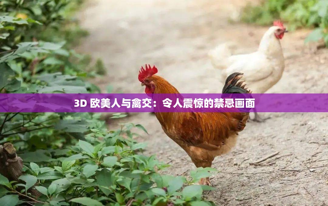 3D 歐美人與禽交：令人震驚的禁忌畫面