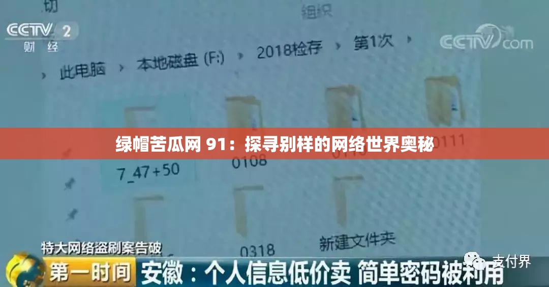 綠帽苦瓜網(wǎng) 91：探尋別樣的網(wǎng)絡世界奧秘