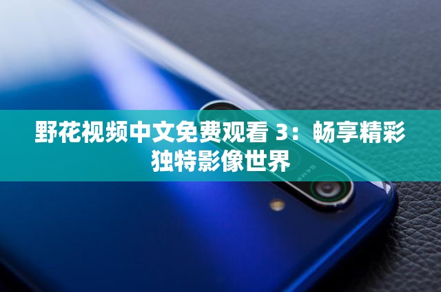 野花視頻中文免費觀看 3：暢享精彩獨特影像世界