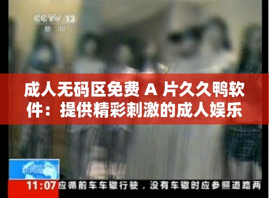 成人無碼區(qū)免費 A 片久久鴨軟件：提供精彩刺激的成人娛樂體驗