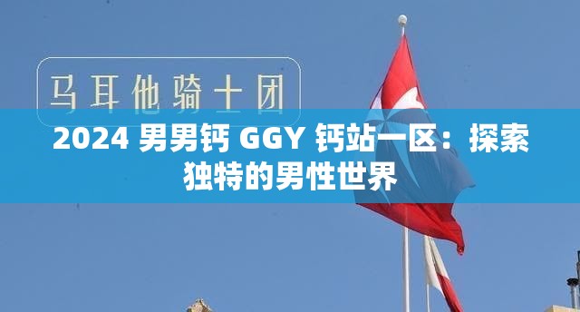 2024 男男鈣 GGY 鈣站一區(qū)：探索獨(dú)特的男性世界