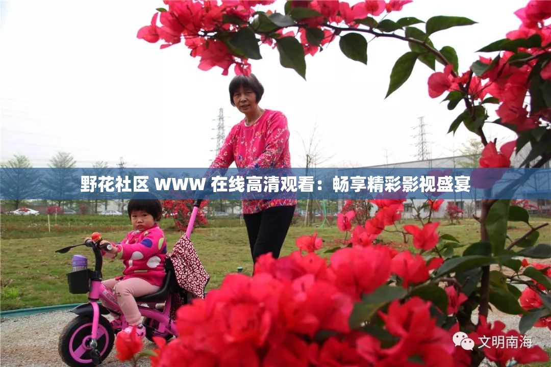 野花社區(qū) WWW 在線高清觀看：暢享精彩影視盛宴