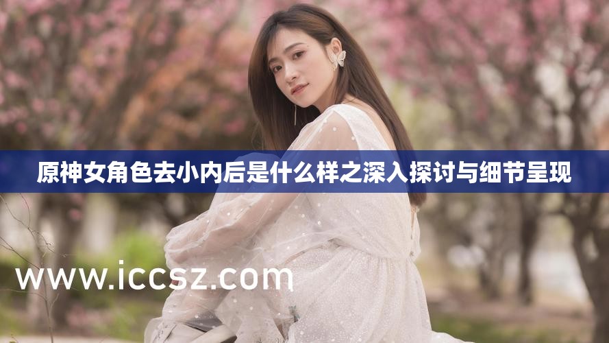 原神女角色去小內(nèi)后是什么樣之深入探討與細節(jié)呈現(xiàn)