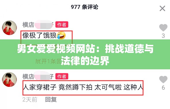 男女愛愛視頻網(wǎng)站：挑戰(zhàn)道德與法律的邊界