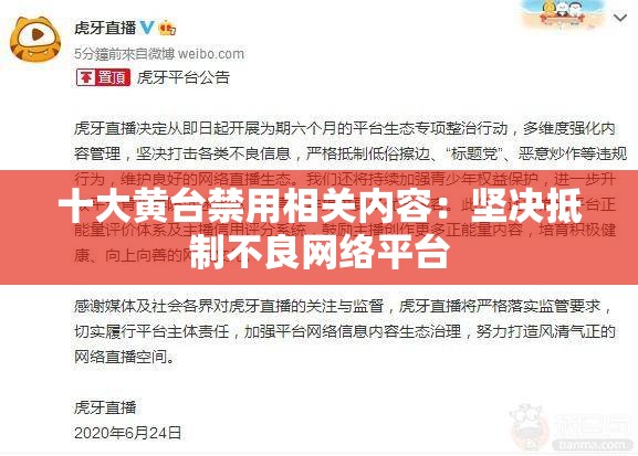 十大黃臺(tái)禁用相關(guān)內(nèi)容：堅(jiān)決抵制不良網(wǎng)絡(luò)平臺(tái)