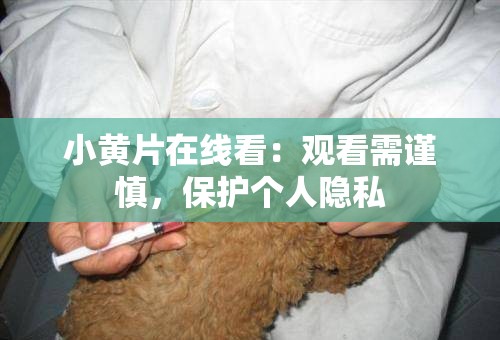 小黃片在線看：觀看需謹慎，保護個人隱私