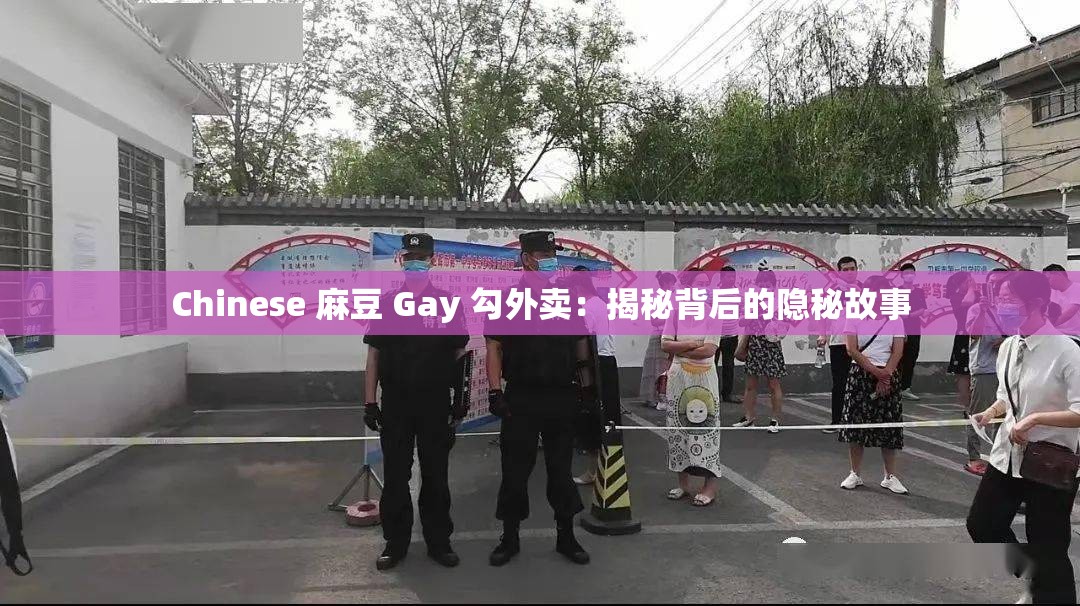 Chinese 麻豆 Gay 勾外賣(mài)：揭秘背后的隱秘故事