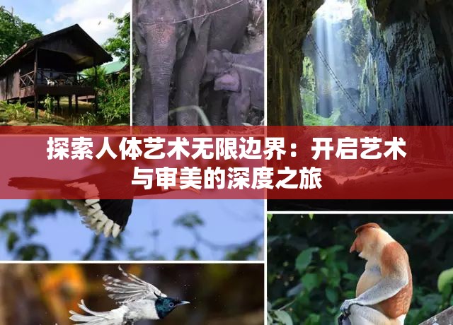 探索人體藝術無限邊界：開啟藝術與審美的深度之旅
