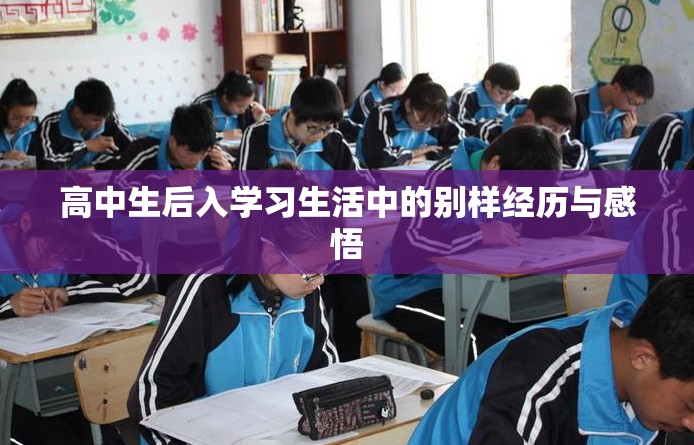 高中生后入學(xué)習(xí)生活中的別樣經(jīng)歷與感悟