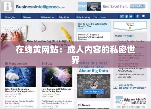 在線黃網(wǎng)站：成人內(nèi)容的私密世界