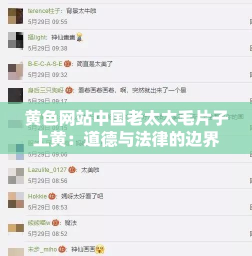 黃色網(wǎng)站中國老太太毛片子上黃：道德與法律的邊界