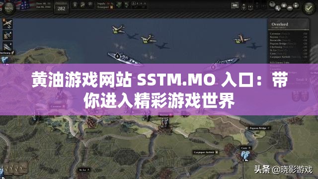 黃油游戲網(wǎng)站 SSTM.MO 入口：帶你進(jìn)入精彩游戲世界