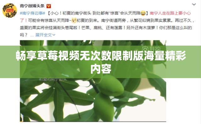 暢享草莓視頻無次數(shù)限制版海量精彩內(nèi)容