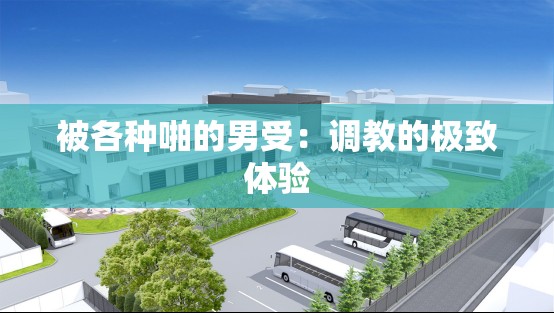 被各種啪的男受：調(diào)教的極致體驗(yàn)