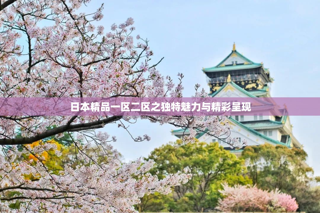 日本精品一區(qū)二區(qū)之獨(dú)特魅力與精彩呈現(xiàn)