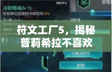 符文工廠5，揭秘普莉希拉不喜歡的物品及其高效管理藝術(shù)策略