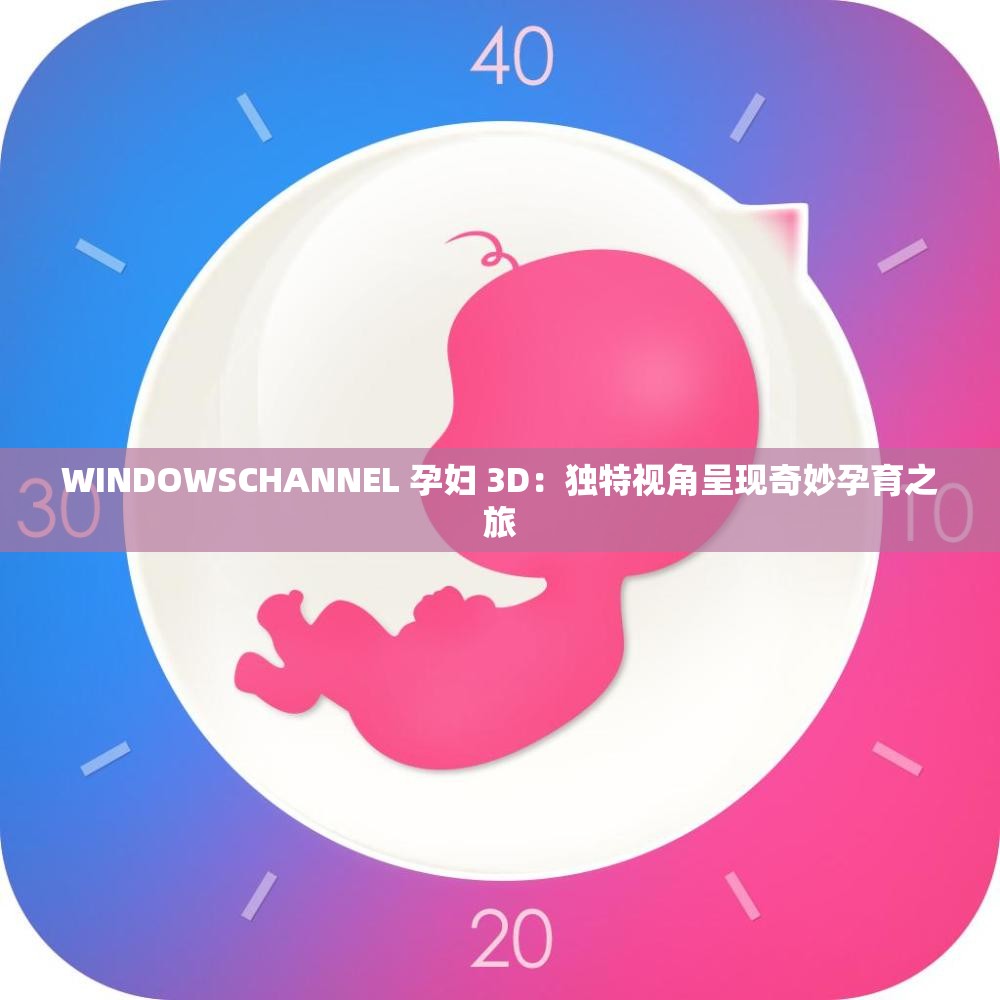 WINDOWSCHANNEL 孕婦 3D：獨(dú)特視角呈現(xiàn)奇妙孕育之旅