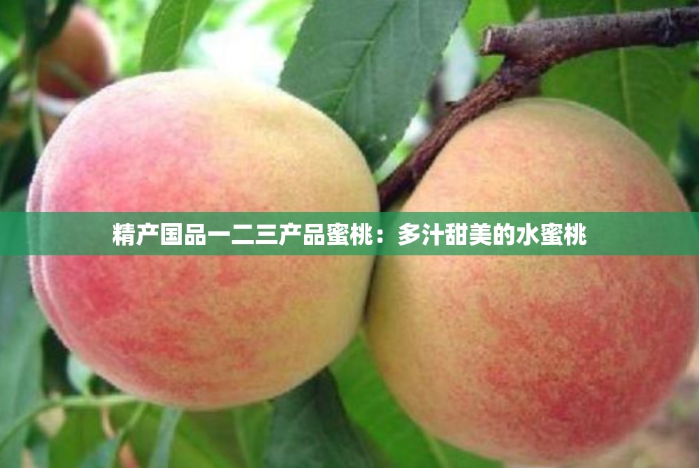 精產(chǎn)國品一二三產(chǎn)品蜜桃：多汁甜美的水蜜桃