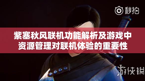 紫塞秋風(fēng)聯(lián)機(jī)功能解析及游戲中資源管理對(duì)聯(lián)機(jī)體驗(yàn)的重要性