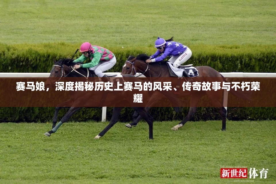 賽馬娘，深度揭秘歷史上賽馬的風(fēng)采、傳奇故事與不朽榮耀
