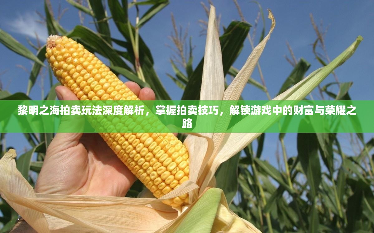 黎明之海拍賣玩法深度解析，掌握拍賣技巧，解鎖游戲中的財富與榮耀之路